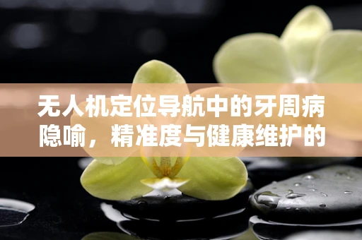 无人机定位导航中的牙周病隐喻，精准度与健康维护的双重挑战