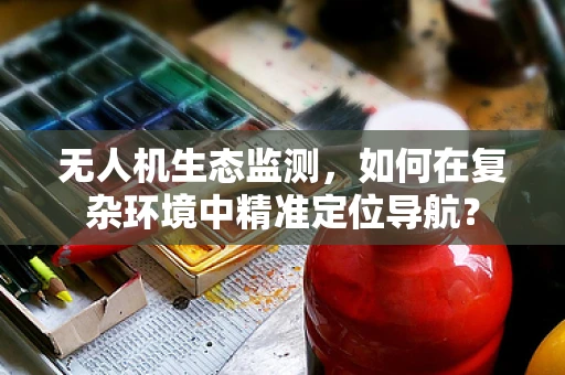 无人机生态监测，如何在复杂环境中精准定位导航？
