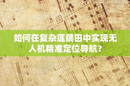 如何在复杂莲藕田中实现无人机精准定位导航？