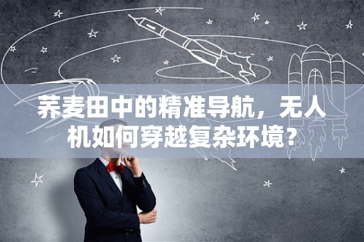 荞麦田中的精准导航，无人机如何穿越复杂环境？