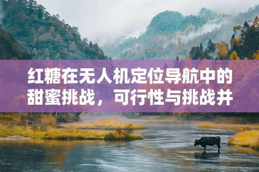 红糖在无人机定位导航中的甜蜜挑战，可行性与挑战并存？