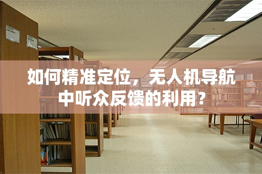 如何精准定位，无人机导航中听众反馈的利用？