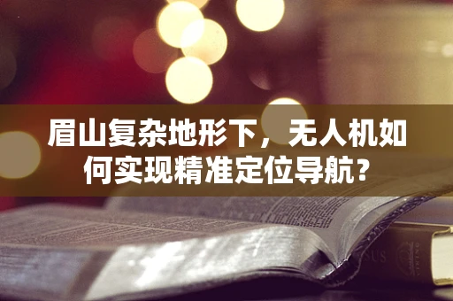眉山复杂地形下，无人机如何实现精准定位导航？