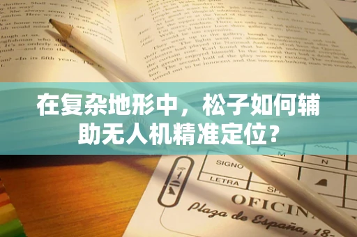在复杂地形中，松子如何辅助无人机精准定位？