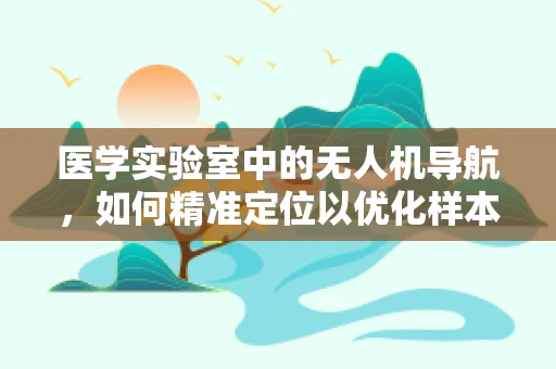 医学实验室中的无人机导航，如何精准定位以优化样本运输？