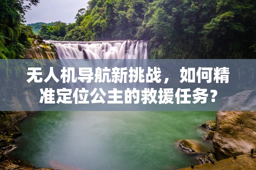 无人机导航新挑战，如何精准定位公主的救援任务？