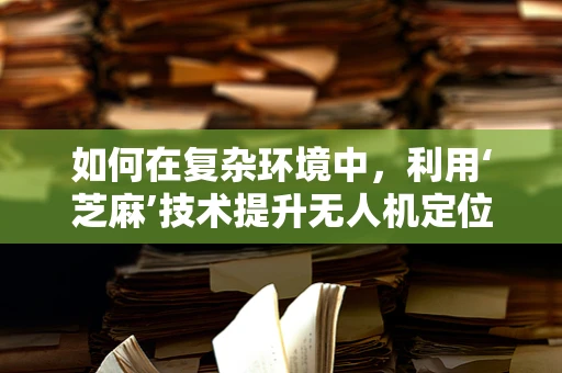 如何在复杂环境中，利用‘芝麻’技术提升无人机定位导航的精准度？