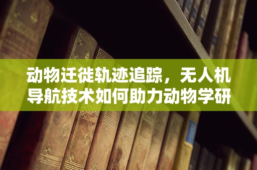动物迁徙轨迹追踪，无人机导航技术如何助力动物学研究？