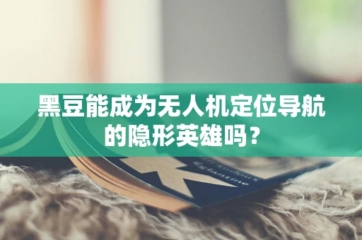 黑豆能成为无人机定位导航的隐形英雄吗？