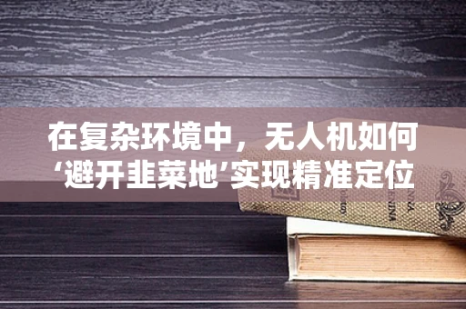在复杂环境中，无人机如何‘避开韭菜地’实现精准定位？