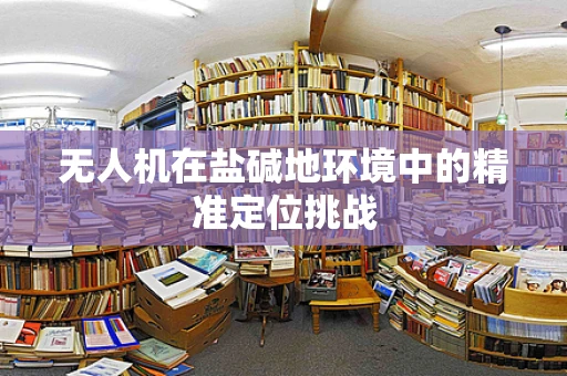 无人机在盐碱地环境中的精准定位挑战
