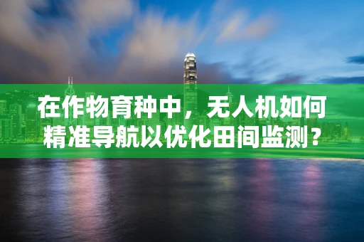 在作物育种中，无人机如何精准导航以优化田间监测？