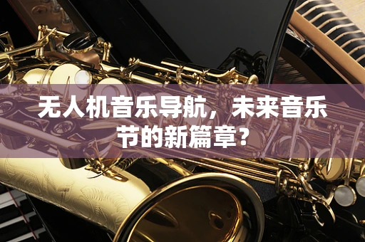 无人机音乐导航，未来音乐节的新篇章？