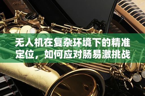 无人机在复杂环境下的精准定位，如何应对肠易激挑战？
