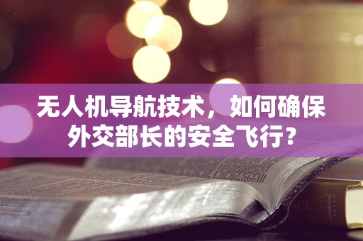 无人机导航技术，如何确保外交部长的安全飞行？