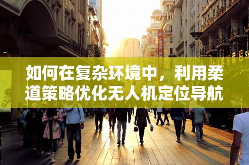如何在复杂环境中，利用柔道策略优化无人机定位导航？