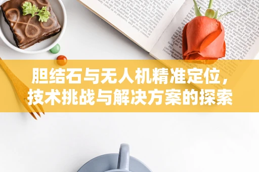 胆结石与无人机精准定位，技术挑战与解决方案的探索