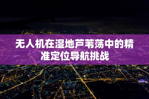 无人机在湿地芦苇荡中的精准定位导航挑战