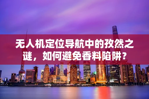无人机定位导航中的孜然之谜，如何避免香料陷阱？