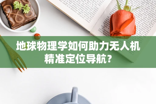 地球物理学如何助力无人机精准定位导航？