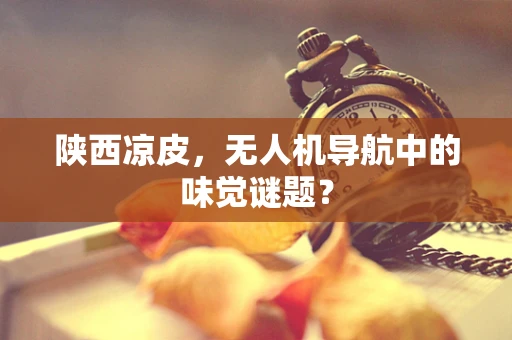 陕西凉皮，无人机导航中的味觉谜题？