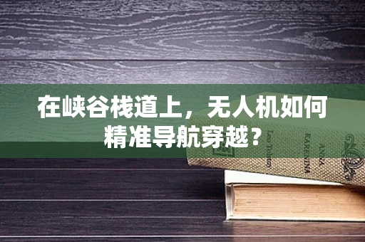 在峡谷栈道上，无人机如何精准导航穿越？