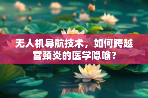 无人机导航技术，如何跨越宫颈炎的医学隐喻？