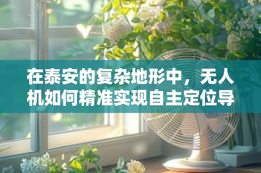 在泰安的复杂地形中，无人机如何精准实现自主定位导航？