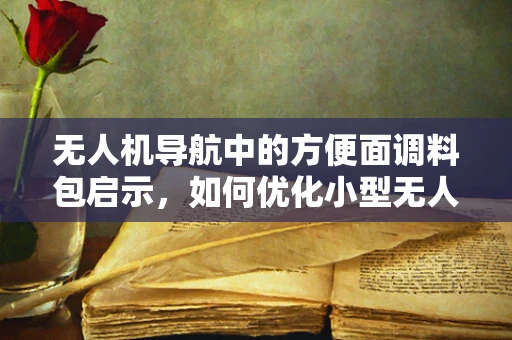 无人机导航中的方便面调料包启示，如何优化小型无人机在复杂环境中的定位精度？