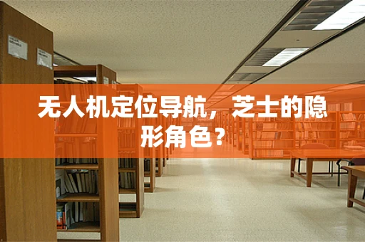 无人机定位导航，芝士的隐形角色？