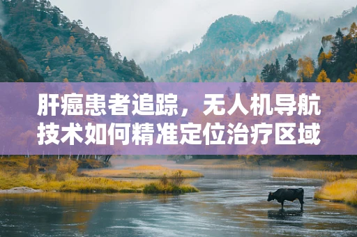 肝癌患者追踪，无人机导航技术如何精准定位治疗区域？