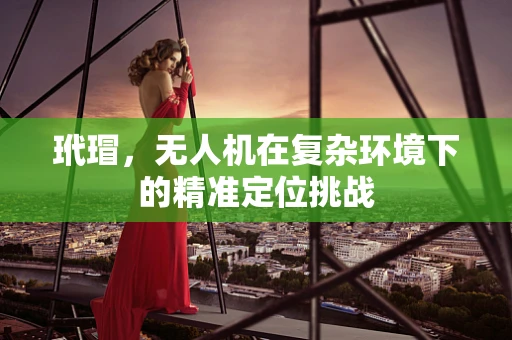 玳瑁，无人机在复杂环境下的精准定位挑战