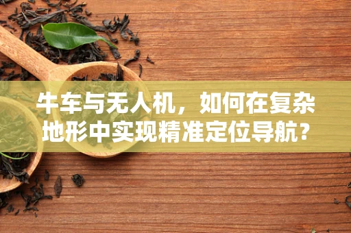 牛车与无人机，如何在复杂地形中实现精准定位导航？