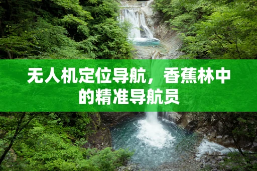 无人机定位导航，香蕉林中的精准导航员
