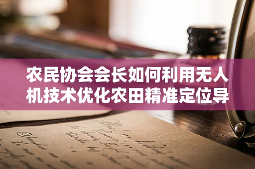 农民协会会长如何利用无人机技术优化农田精准定位导航？