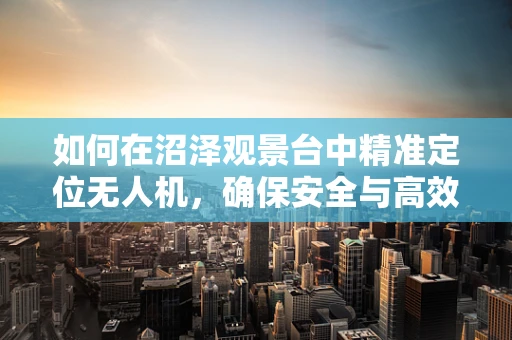 如何在沼泽观景台中精准定位无人机，确保安全与高效导航？
