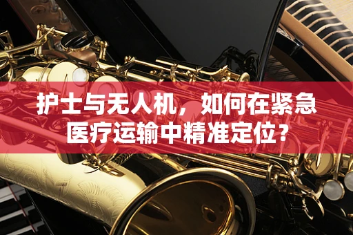 护士与无人机，如何在紧急医疗运输中精准定位？
