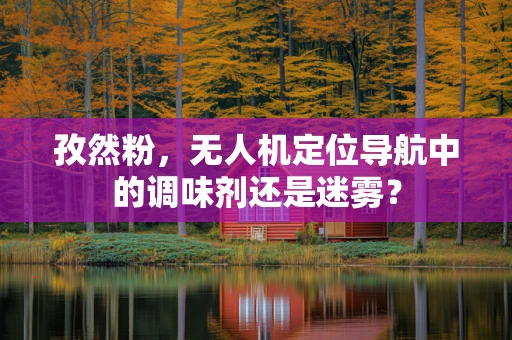 孜然粉，无人机定位导航中的调味剂还是迷雾？