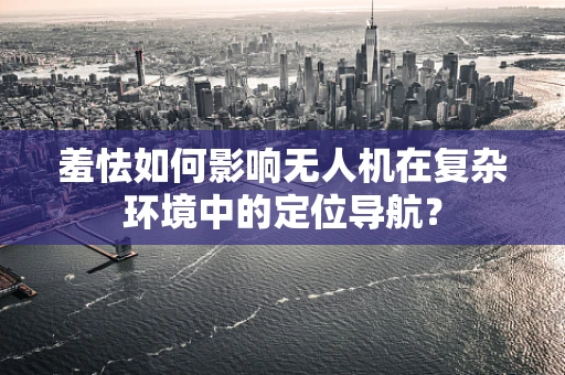 羞怯如何影响无人机在复杂环境中的定位导航？