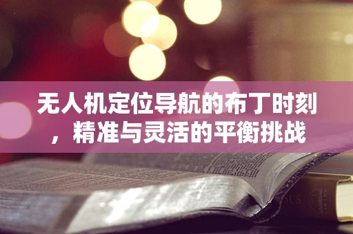 无人机定位导航的布丁时刻，精准与灵活的平衡挑战