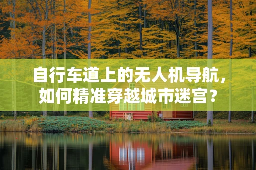 自行车道上的无人机导航，如何精准穿越城市迷宫？