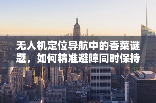无人机定位导航中的香菜谜题，如何精准避障同时保持香气追踪？
