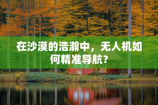 在沙漠的浩瀚中，无人机如何精准导航？