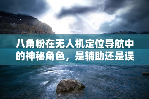 八角粉在无人机定位导航中的神秘角色，是辅助还是误导？