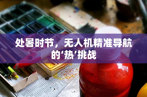 处暑时节，无人机精准导航的‘热’挑战