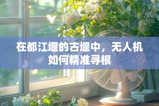 在都江堰的古堰中，无人机如何精准寻根