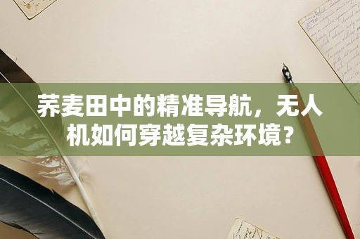 荞麦田中的精准导航，无人机如何穿越复杂环境？