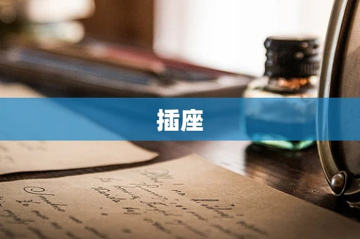 插座