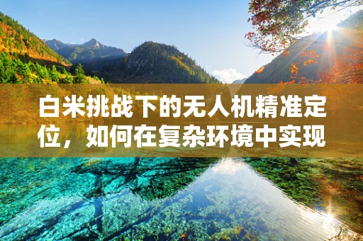 白米挑战下的无人机精准定位，如何在复杂环境中实现高精度导航？