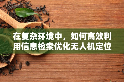 在复杂环境中，如何高效利用信息检索优化无人机定位导航？
